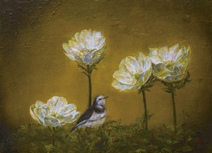 小西美幸の作品