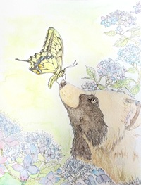 村松昇汰の作品