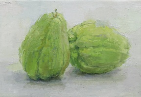 渡辺冴南の作品