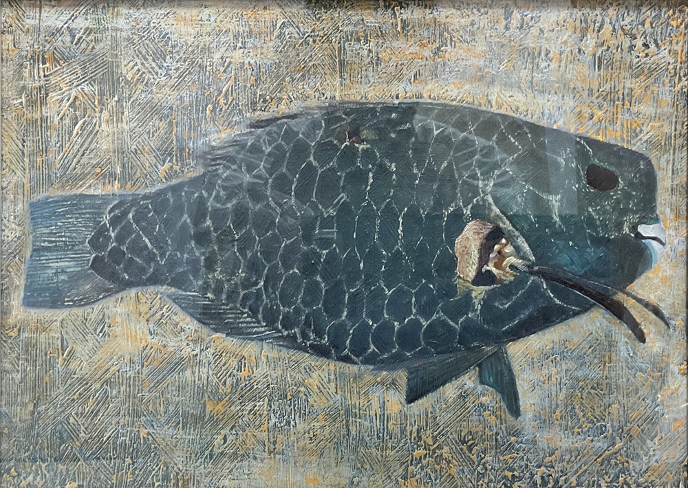 ナンヨウブダイ